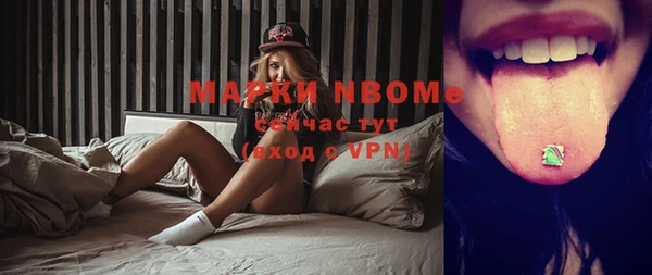 дживик Переславль-Залесский