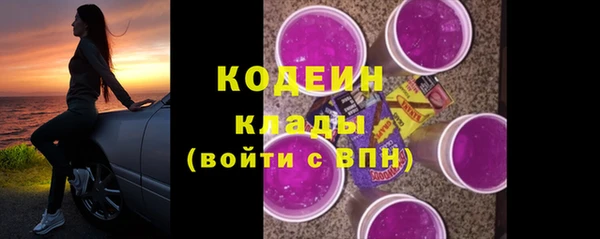 дживик Переславль-Залесский
