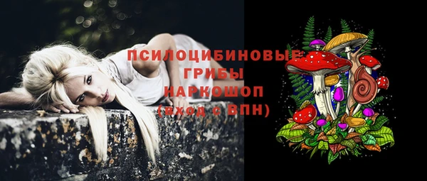 дживик Переславль-Залесский