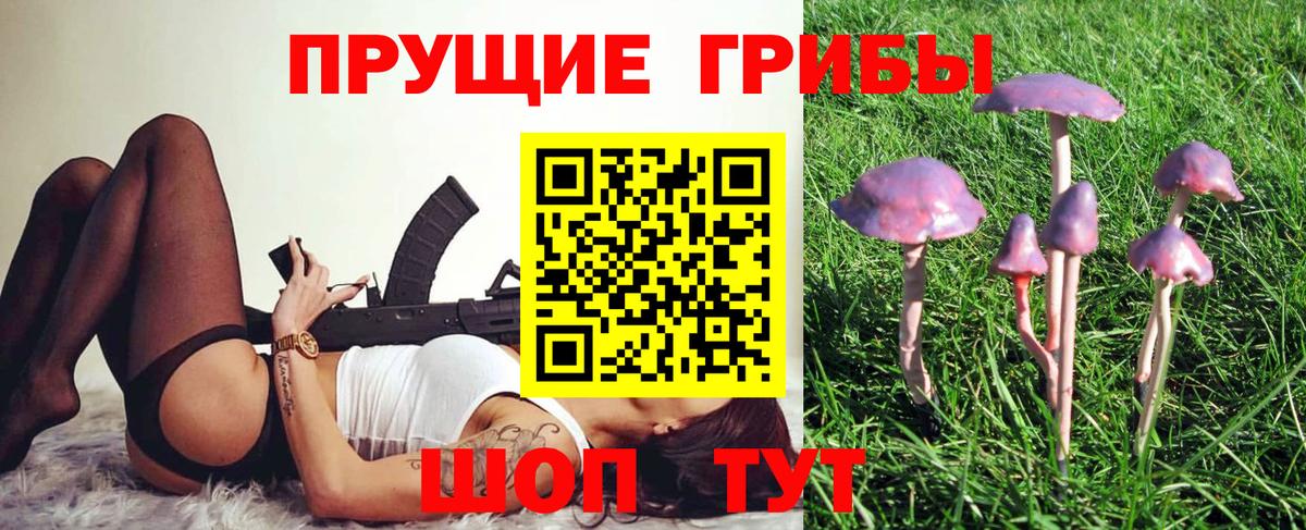 Псилоцибиновые грибы MAGIC MUSHROOMS  Балашиха  Псилоцибиновые грибы Psilocybine cubensis 