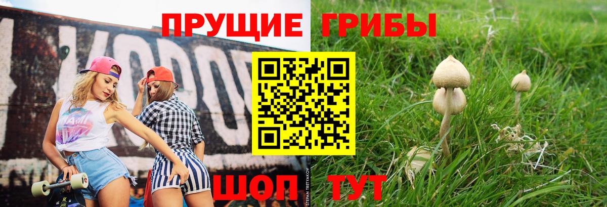 Псилоцибиновые грибы мицелий Балашиха